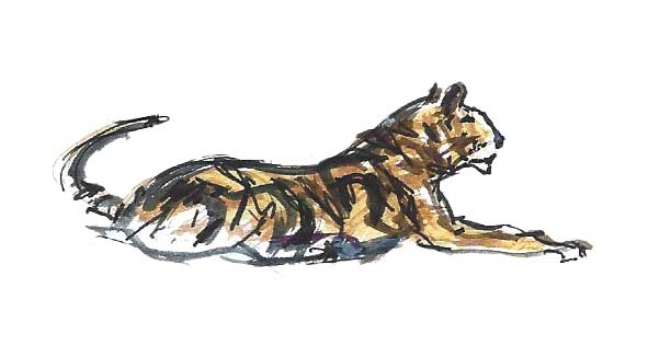 aquarelle d'un tigre couché